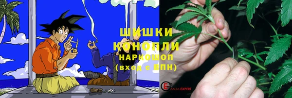 твердый Бронницы
