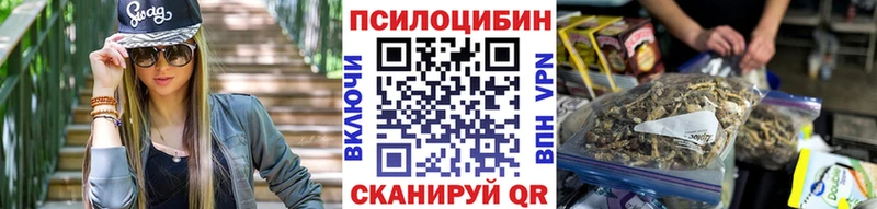 купить   Городец  Псилоцибиновые грибы прущие грибы 
